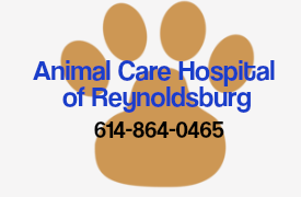 Animal Care Hospital of Reynoldsburg