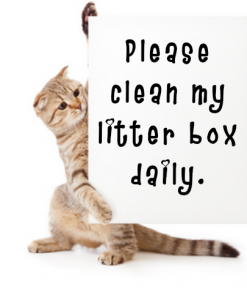 clean litter